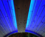 Load image into Gallery viewer, SaunaLife Emood Color Lighting for ERGO Sauna

