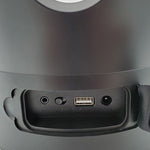 Load image into Gallery viewer, SaunaLife SaunaZone Bluetooth Speaker &amp; Sauna Bucket w/ Lights
