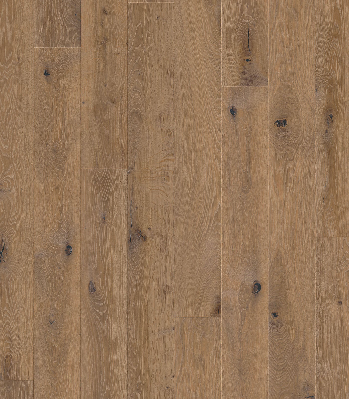 MINORCA - FRENCH OAK