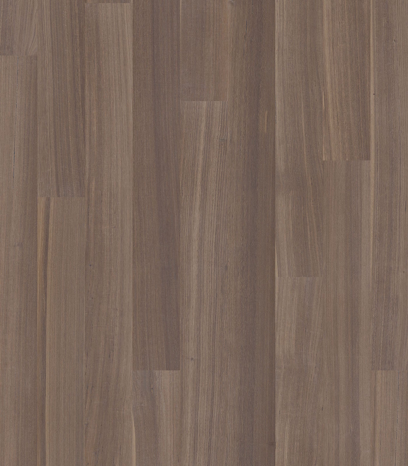 DEVONPORT - TASMANIAN OAK