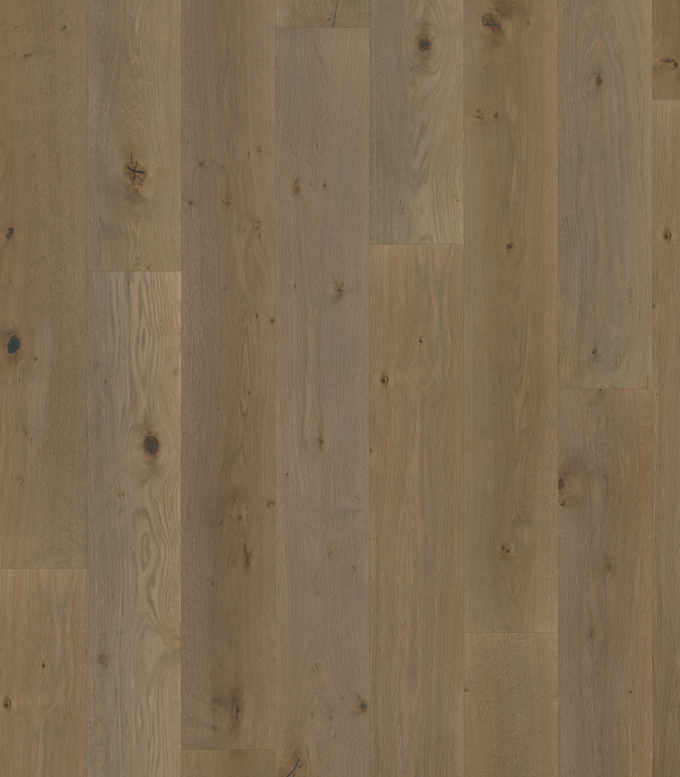 BEQUIA - EUROPEAN WHITE OAK