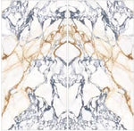 Load image into Gallery viewer, CALACATTA PAONAZZO
