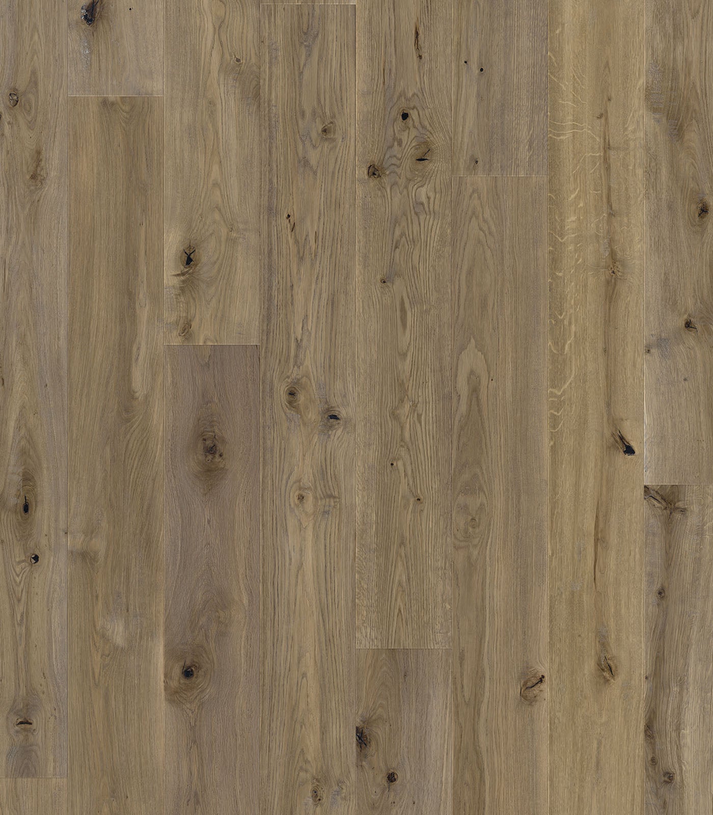 ETOSHA - FRENCH OAK