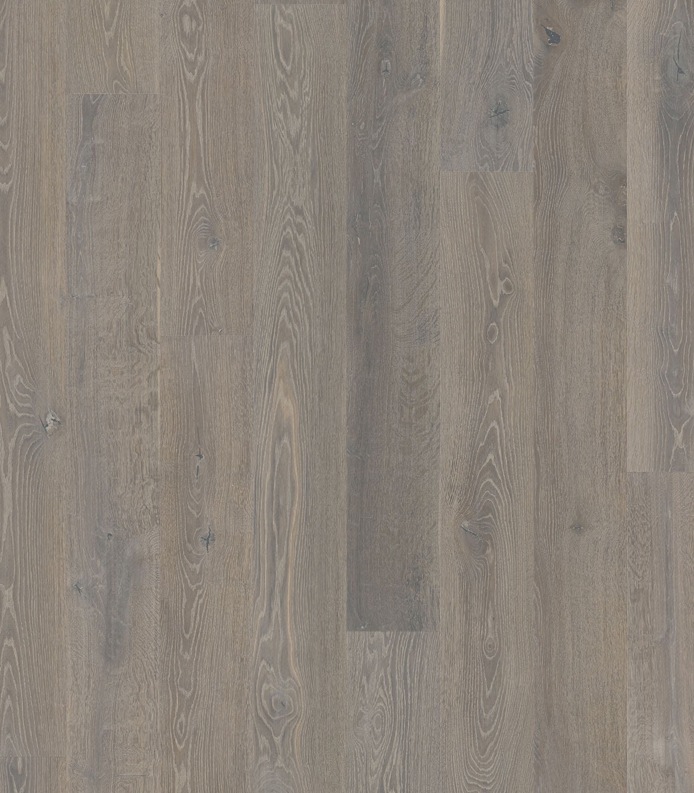 GOA - FRENCH OAK