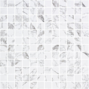 STATUARIO MATTE 1 x 1