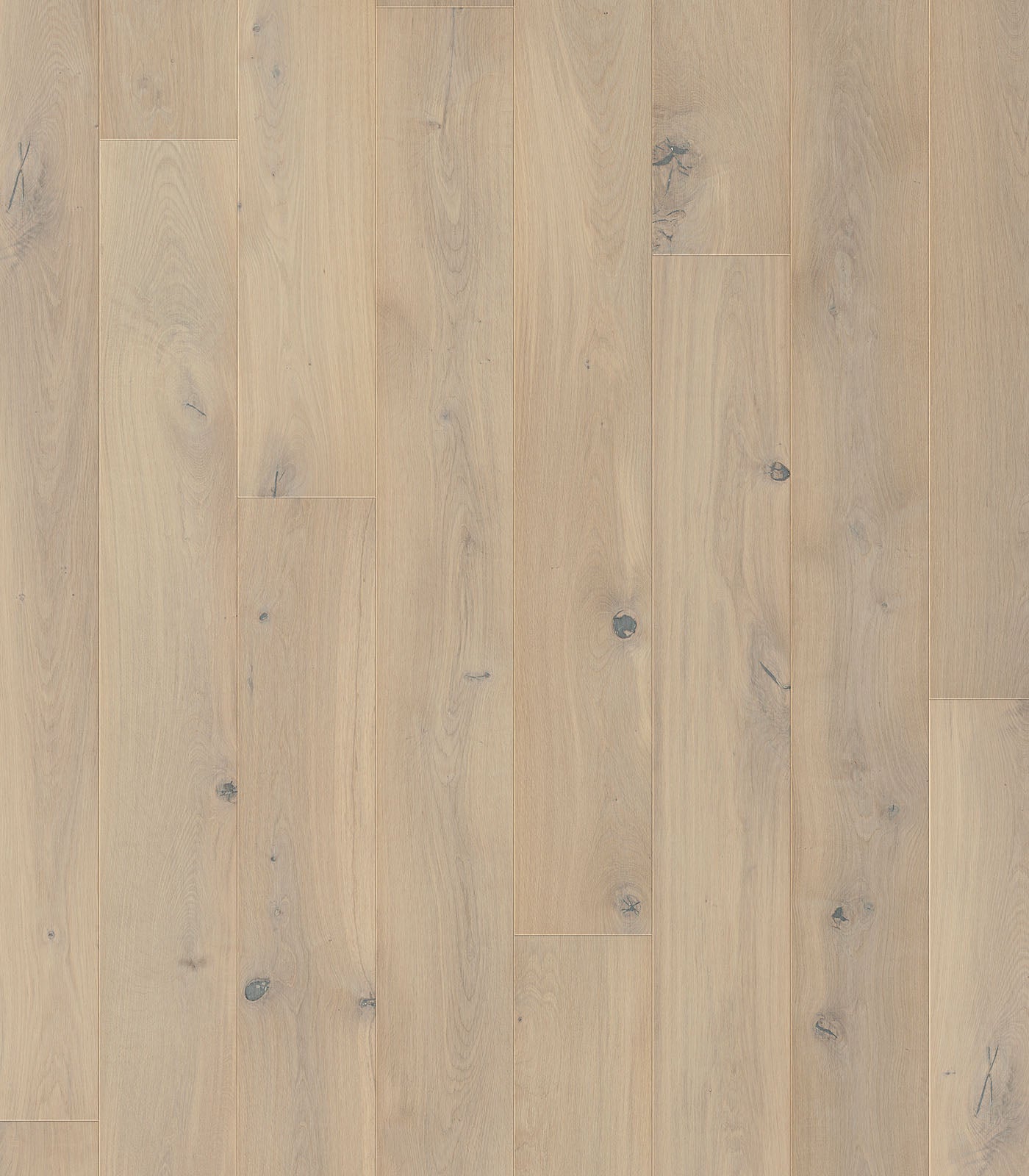 TAOS - FRENCH OAK