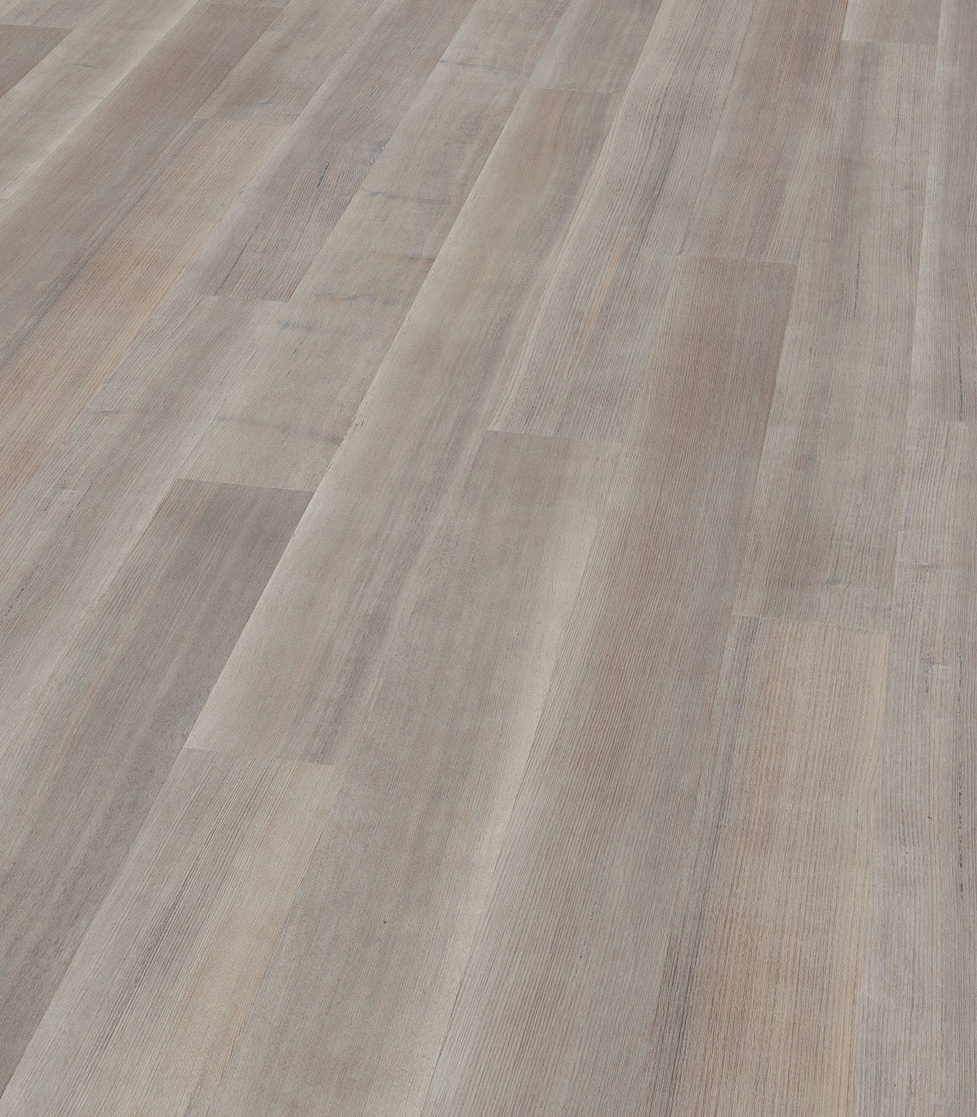 ADELAIDE - TASMANIAN OAK