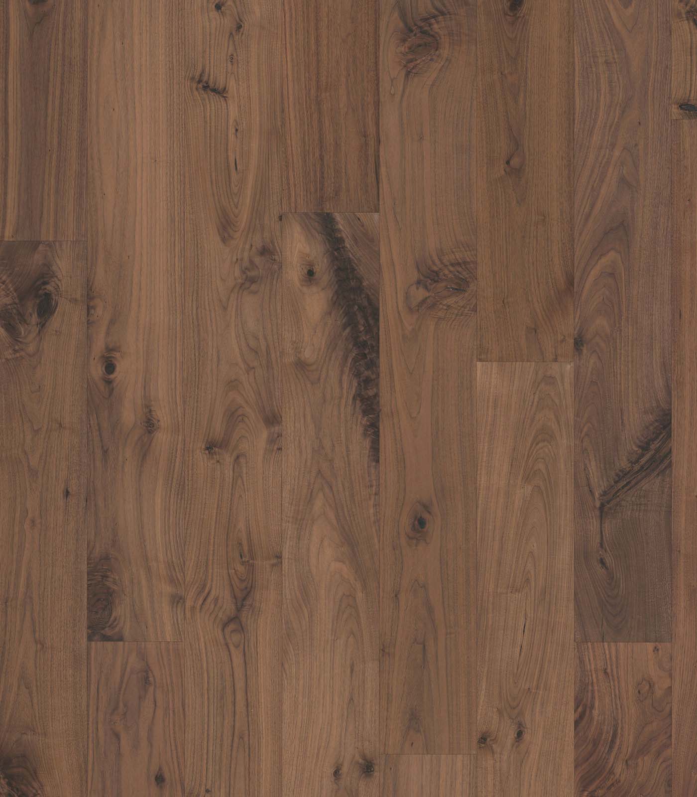 BLACK WALNUT